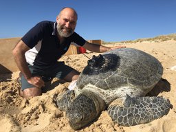 Photo of Nick Mortimer